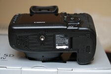 EOS_5D4_0003.jpg