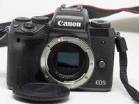 Canon_M5_3.jpg