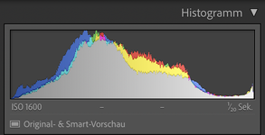 Bildschirmfoto 2021-01-03 um 20.00.59.png