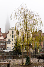 20201216_LG_5D4_17c_Am-Fischmarkt_Am-Stintmarkt-forum.jpg