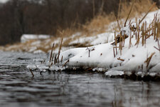 IMG_3486_1200b.jpg