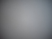_DSF6293.jpg