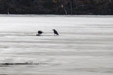 IMG_3890.jpg