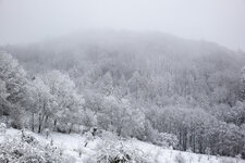 Winterlandschaft_Löwenburg_edited.jpg