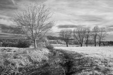 IMG_2303.jpg