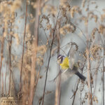 IMG_8540_insta.jpg