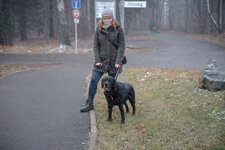 IMGP4639dslr2.jpg