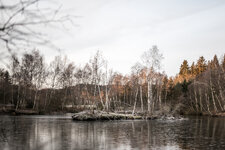 DSC_2378(1).jpg