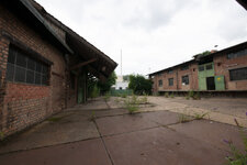 DSC_3079-original 1MP.jpg