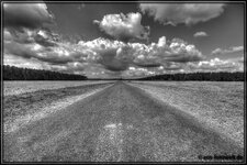 comp_comp_IMG_1117_8_9_tonemapped_b&w.jpg