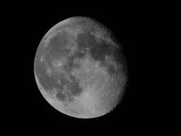 P1000274-Bearbeitet.jpg