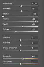 Bildschirmfoto 2021-02-26 um 16.33.31.png