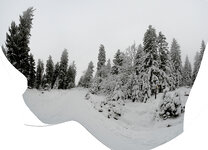 winterwald_pano_d.jpg