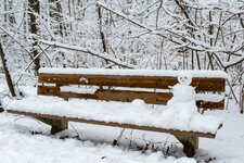 DSC_4006.jpg