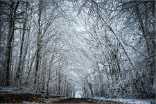 DSC_7347-Bearbeitet.jpg DSC_7347-Bearbeitet.jpg