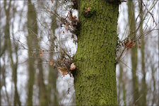 test_85mm_10.jpg