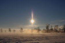 Dangastermoor_Winter_4899.JPG