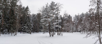 2021-02-09 15-55-58 unbenannt-Pano.jpg