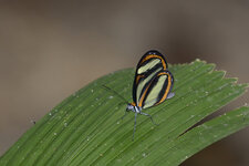 _DSC6090_01.JPG