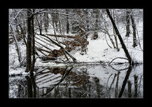 DSC01676RR_Forum.jpg DSC01676RR_Forum.jpg