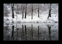 DSC01669RR_Forum.jpg DSC01669RR_Forum.jpg