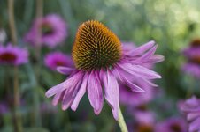 IMG_0281.jpg