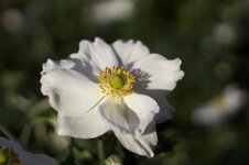 IMG_0282.jpg