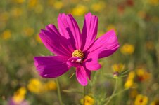 IMG_0293.jpg