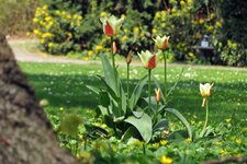 IMG_2072_0.jpg