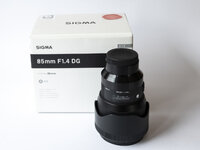 Sigma 85 1.4 Art-5.jpg