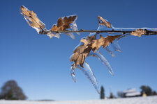 20210213-003 Ennepetal.JPG