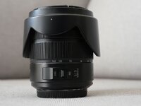Lumix1.jpg