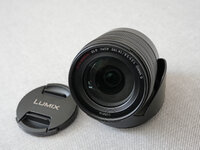 Lumix4.jpg