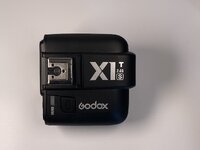 IMG_0142.jpeg