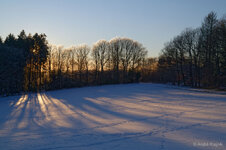 20210213_171329-780_1184-d_w.jpg