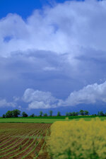 DSCF0320.jpg