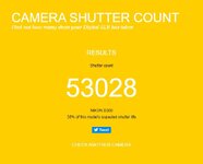 D300 Shutter count.JPG