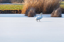 IMG_3757.jpg
