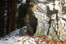 20210406_120150_camera_trap_jura_05.jpg
