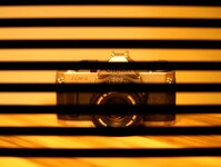 20210402213656_ER1X7167.JPG