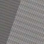 Q500%-a-DSC04207-19grd.JPG