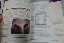 DRAM Book_00011.jpg