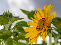 img--1-2.jpg