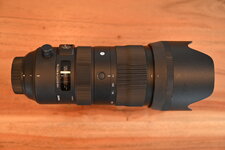 Sigma 70-200_1.JPG