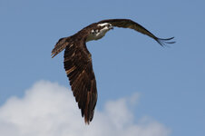 IMG_8659 - Arbeitskopie 2.jpg