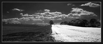 Landschaft_SW-IR.jpg