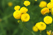 _DSC4180_DxO.jpg