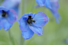 _DSC4185_DxO.jpg