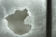 Compressed_0125.jpg