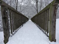 comp_DSC00497.jpg